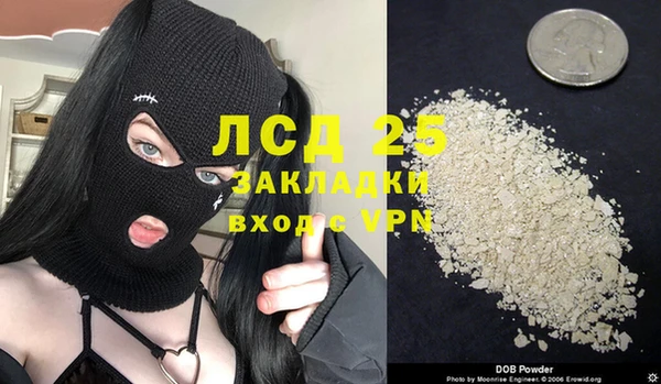 шишки Арсеньев