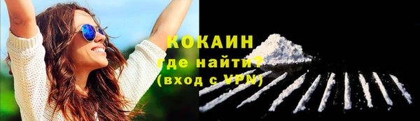 шишки Арсеньев