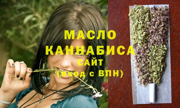 индика Протвино
