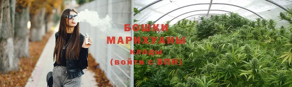 шишки Арсеньев
